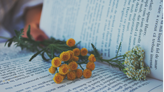 Flower on the Book